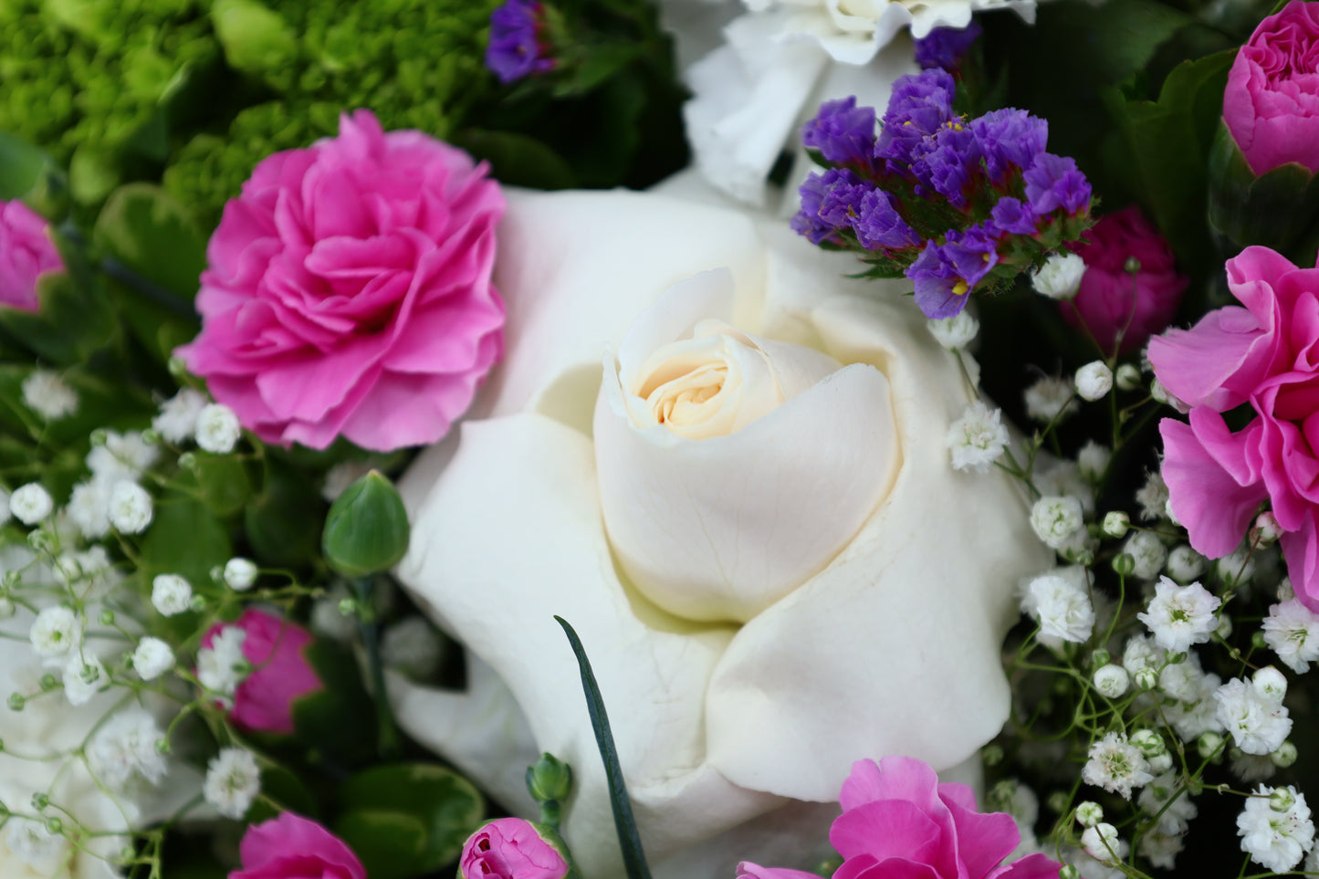 Ivory Symphony