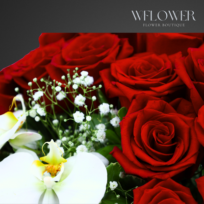 Scarlet Elegance Signature Box